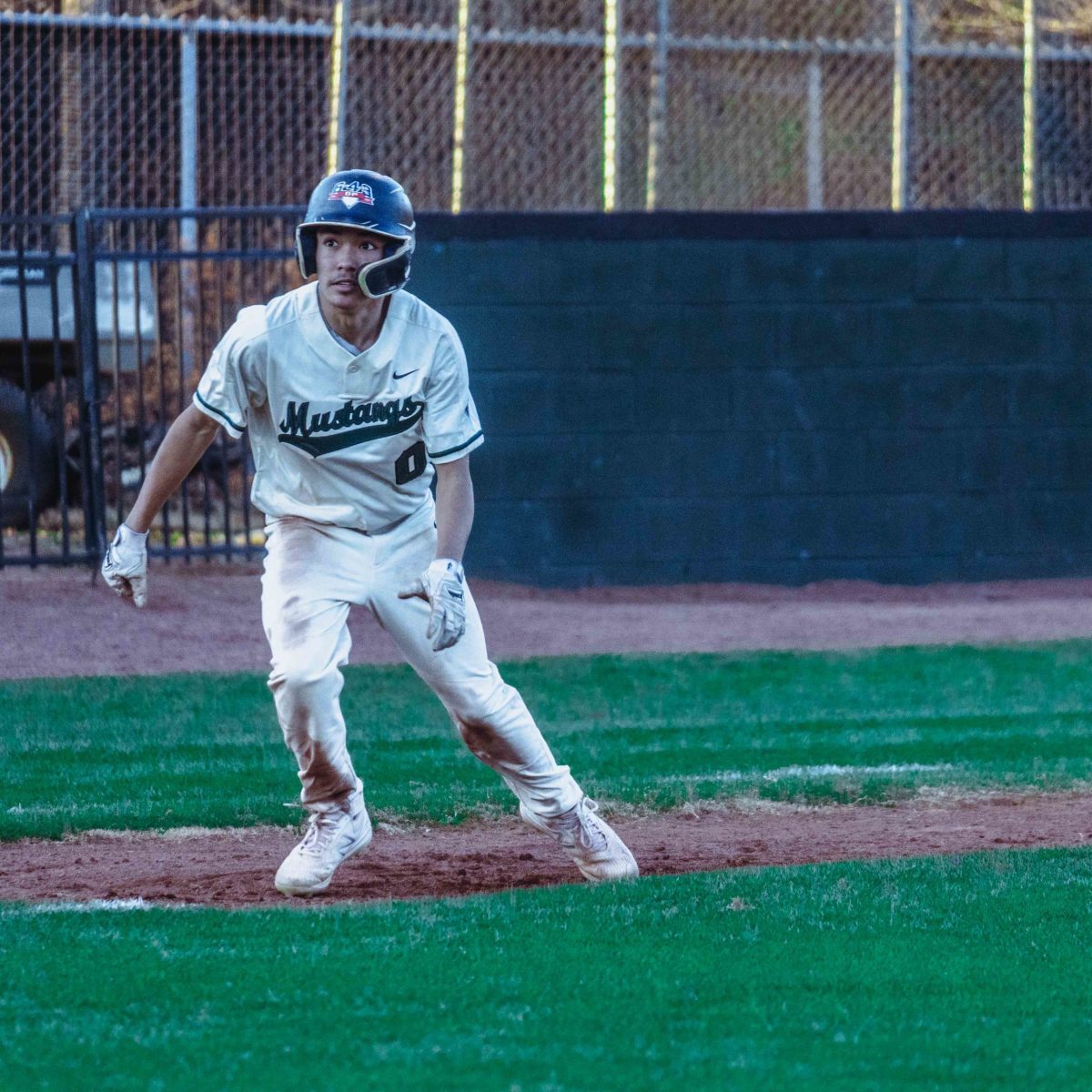 Willie_Prince_Kennesaw_Mountain_baseball.73